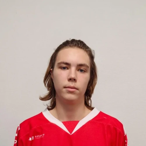 Popov Artem Sergeevich