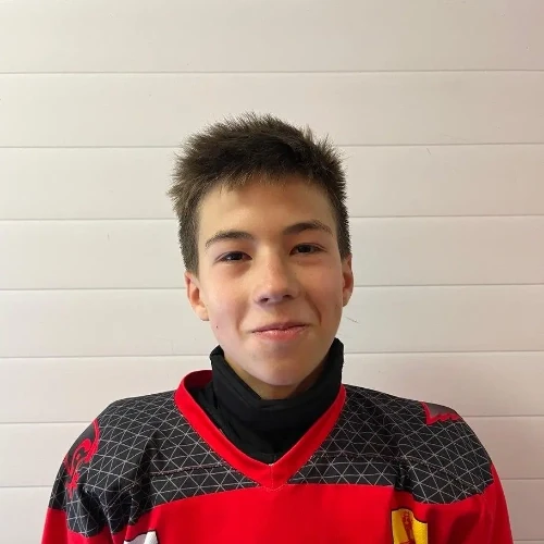 Karamalikov Ilya Andreevich