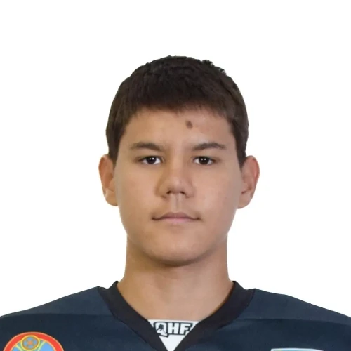 Sadykov Aldiyar Ildarovich