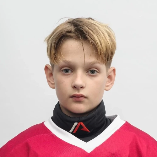 Minakov Danil Mihailovich