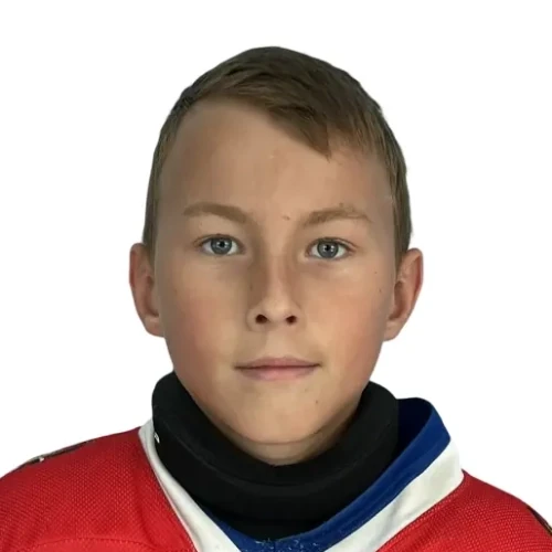 Avdeev Ilya Vitalevich