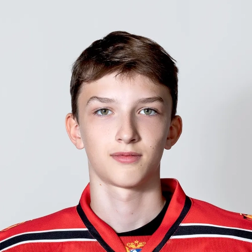Sayustov Yaroslav Dmitrievich