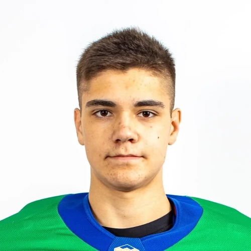 Povarov Mihail Vadimovich