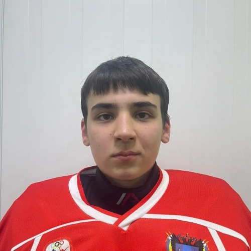 Solovev Artemii Dmitrievich