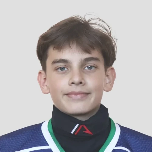 Makshanov Vildan Sergeevich