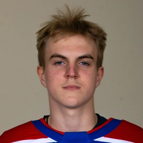 Sgibov Roman Igorevich