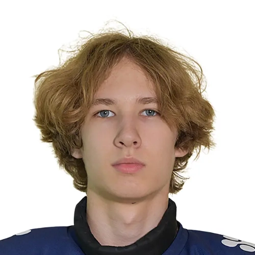 Соловьев Никита Романович