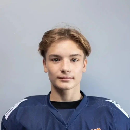Giniyatullin Roman Rishatovich