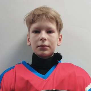 Timofeev Artem Sergeevich