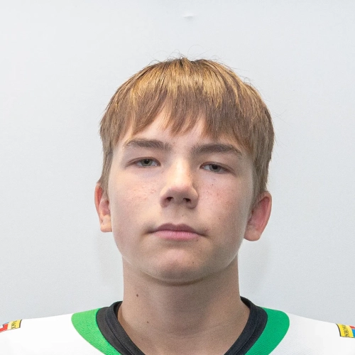 Titov Sergei Leonidovich