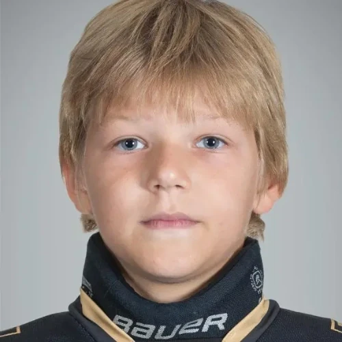 Darichev Roman Yurevich