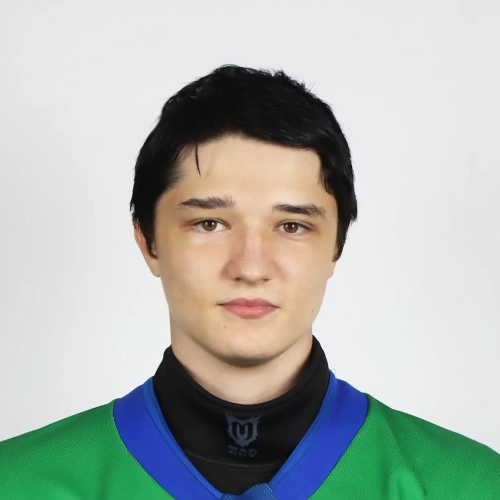 Gubaidullin Iskander Radikovich