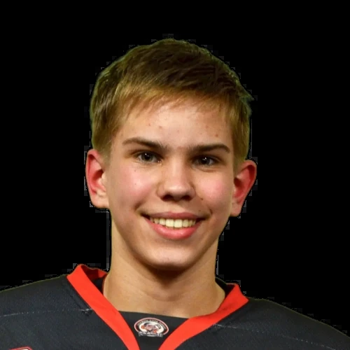Tolstik Daniil Pavlovich