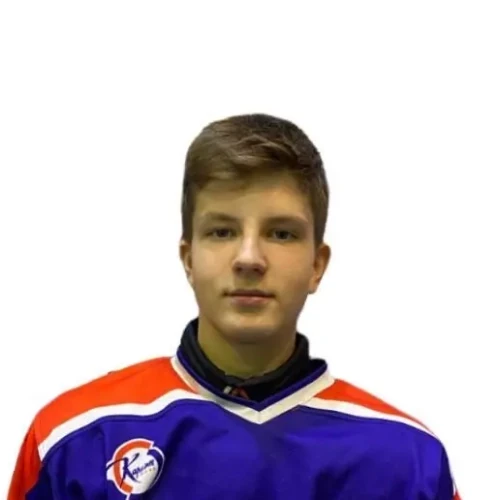 Shvetsov Denis Vadimovich