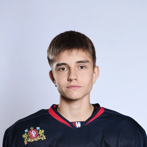 Shestopalov Artem Evgenevich