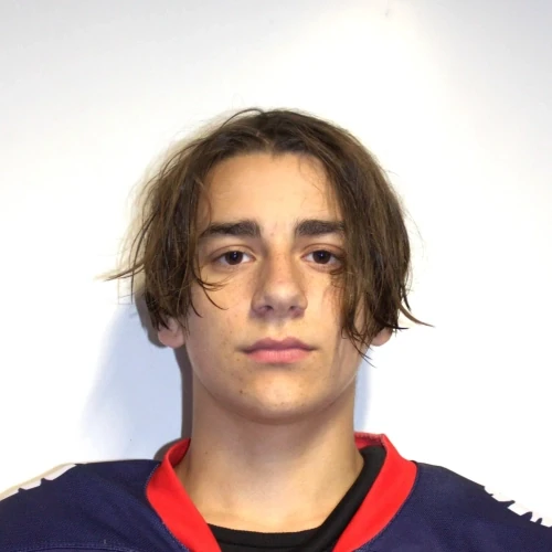 Batanov Nikita Aleksandrovich
