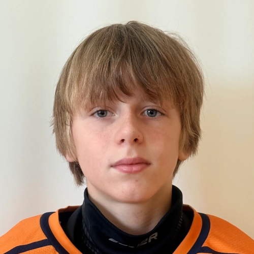 Kolesnikov Daniil Vadimovich