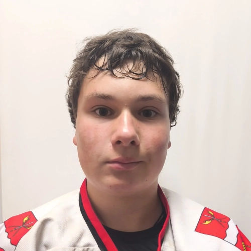 Anisimov Nikita Igorevich