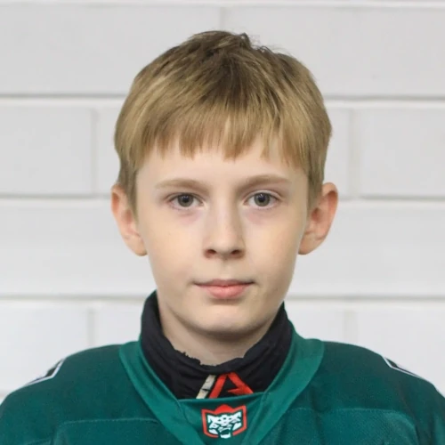 Surkov Matvei Alekseevich