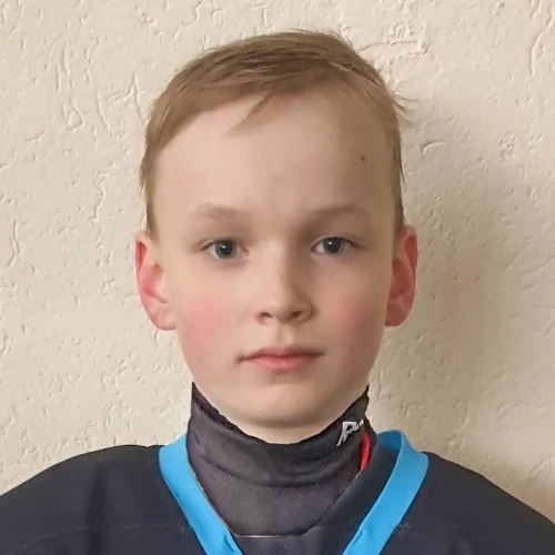 Naumov Vladislav Dmitrievich
