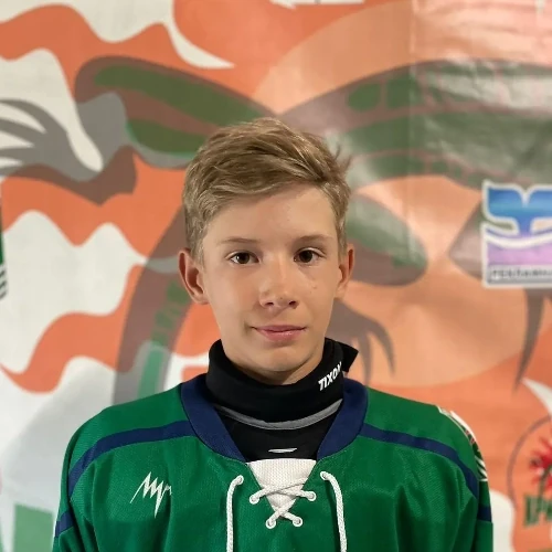 Lozhkin Denis Igorevich