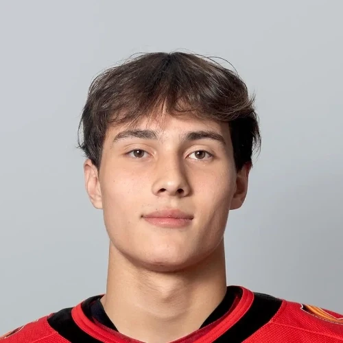 Gruzdev Aleksei Alekseevich