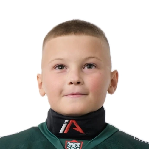 Abdulgazizov Diniyar Rafaelevich