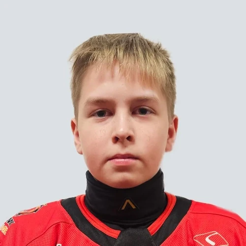Romanyuk Vladislav Timurovich