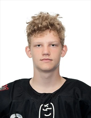 Cherepanov Daniil Aleksandrovich