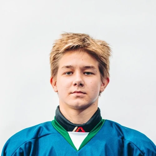 Ahmutdinov Matvei Andreevich