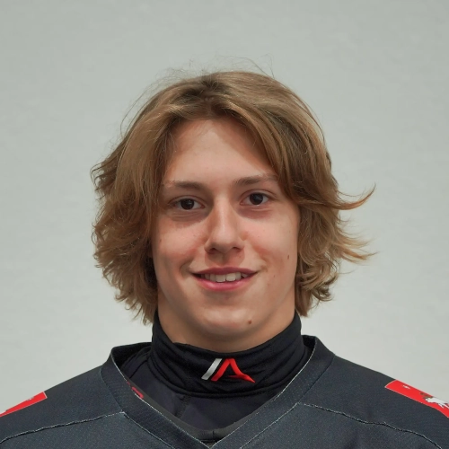 Vdovin Savelii Artemovich