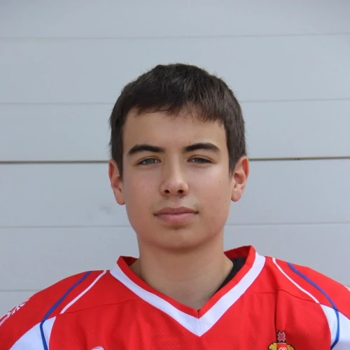 Timofeev Ivan Sergeevich