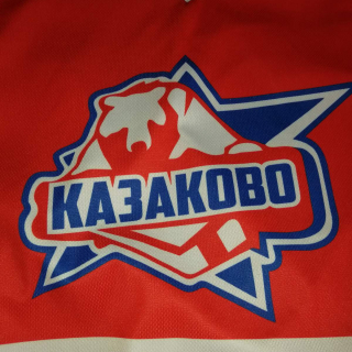 Rovesnik