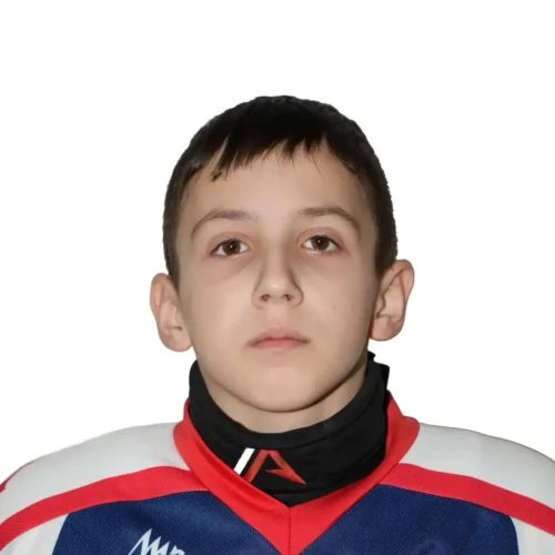 Vinogradov Nikita Romanovich
