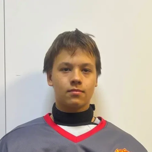 Shulyatev Aleksei