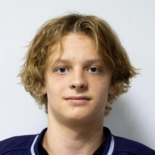 Mitryukov Ilya Sergeevich