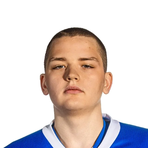 Nikulin Igor Alekseevich