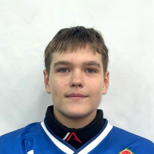 Elizarov Artur Nikitich