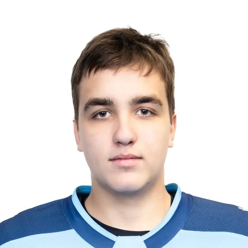 Lovchikov Mihail Artemovich