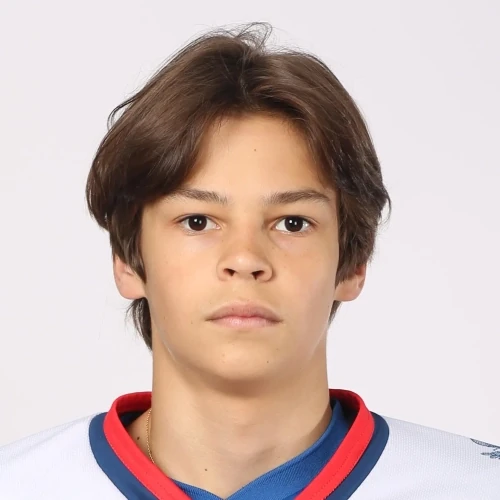 Vdovin Fedor Dmitrievich