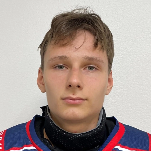 Yashin Yaroslav Sergeevich