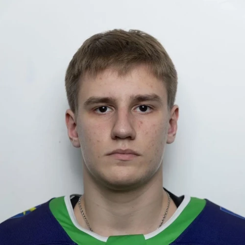 Parhomenko Mihail Aleksandrovich