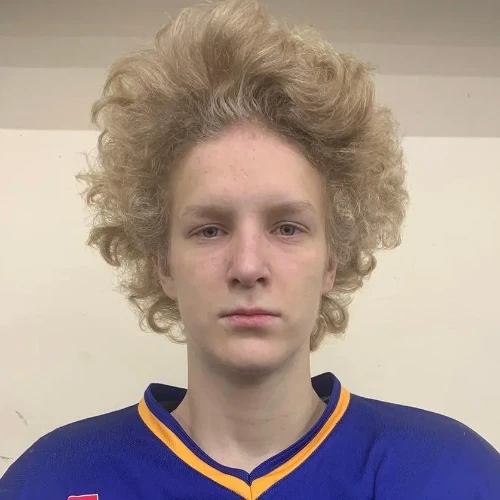 Budarin Nikita Olegovich