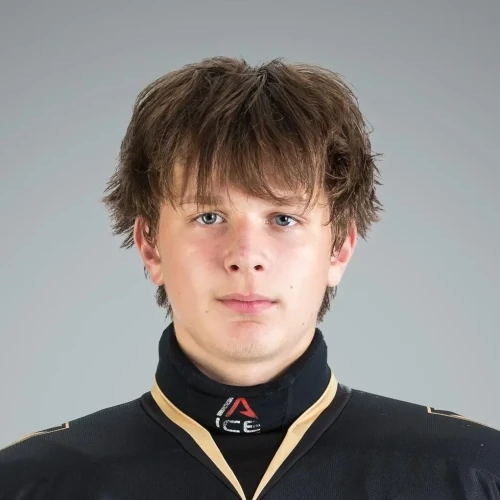 Zaitsev Dmitrii Aleksandrovich