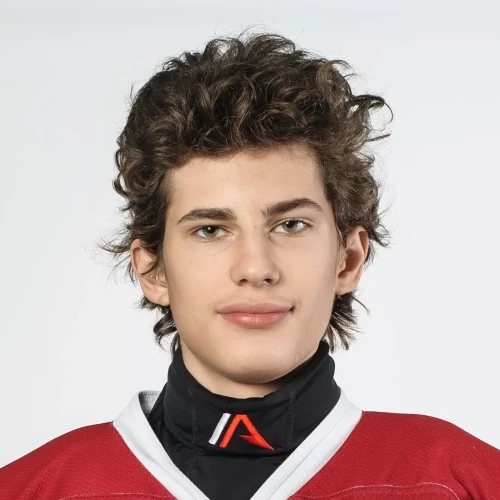 Agafonov Timofei Vladimirovich
