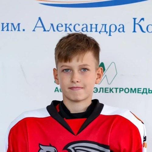 Sharapov Maksim Aleksandrovich