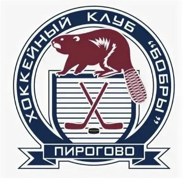 Бобры