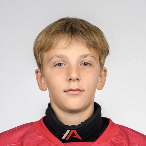 Palenko Makar Alekseevich