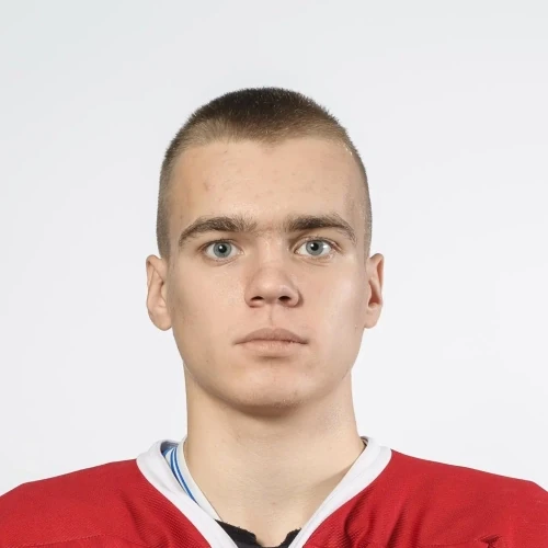 Bugaev Timofei Vladislavovich