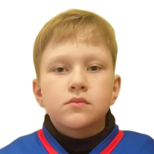 Veselovskii Mark Mihailovich